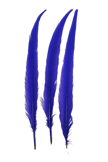 Wildfasanfedern 1.Wahl 30-35cm blau 10er PACK