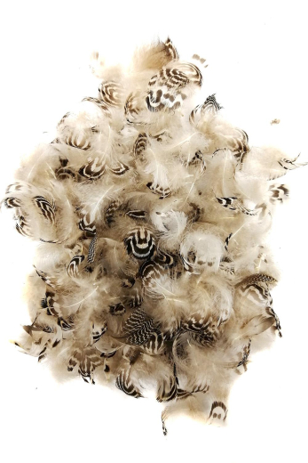 Krickente Tigermollen natur 5g PACK