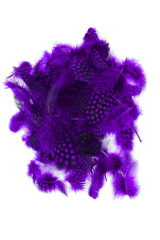 Guinea Fowl Plumage purple, 10g PACK