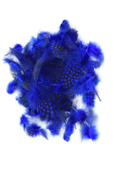 Guinea Fowl Plumage blue, 10g PACK